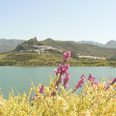 Casa Rural-Apartamento El Lebrillero Zahara De La Sierra Luaran gambar